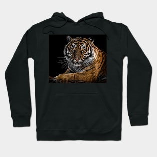 Tiger art Hoodie